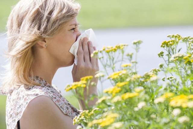 Imate problem sa alergijama? Lekari savetuju kako da pobedite nadolazeæu sezonu